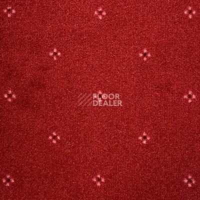 Ковролин AW Animo 11 фото 1 | FLOORDEALER